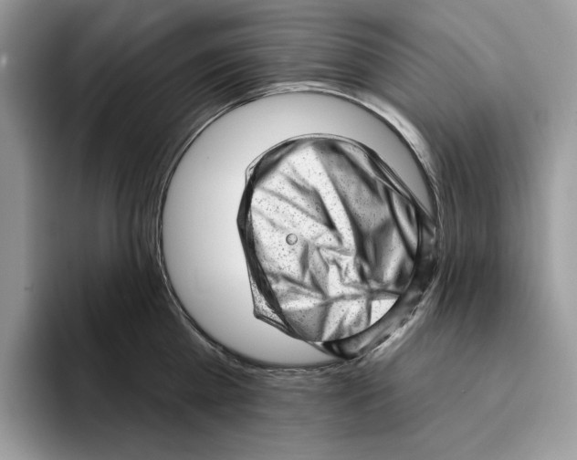 X0000093420809200711091416