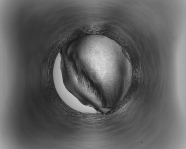 X0000093420818200711091415