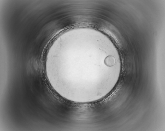 X0000093420828200711091416