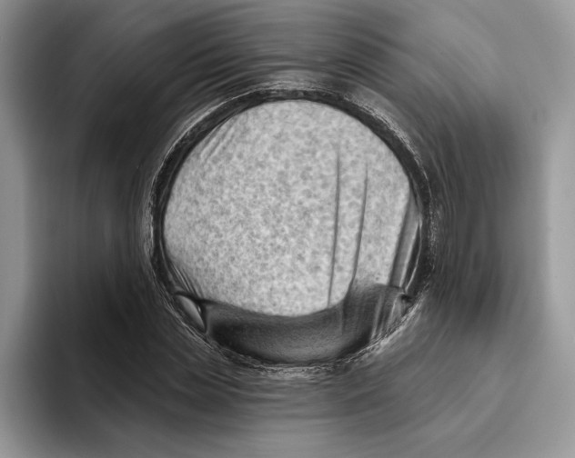 X0000093420829200711091416