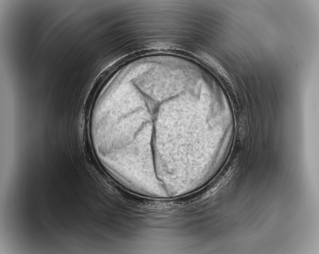 X0000093420831200711091416