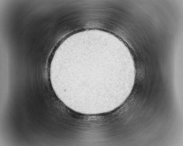 X0000093420832200711091416