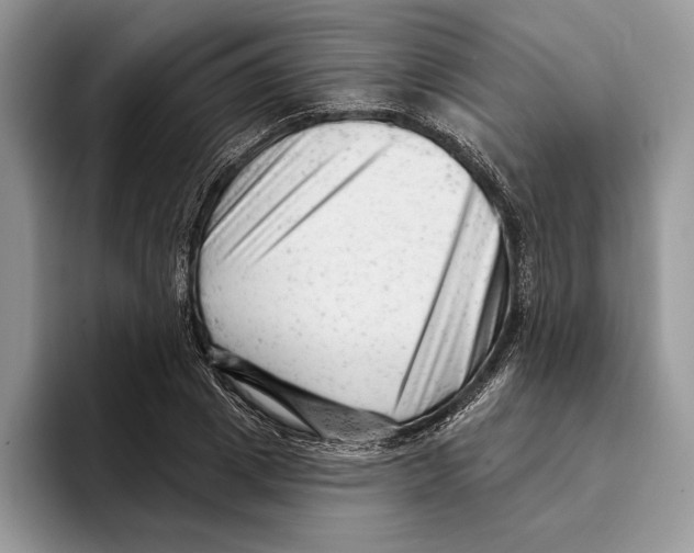 X0000093420833200711091416