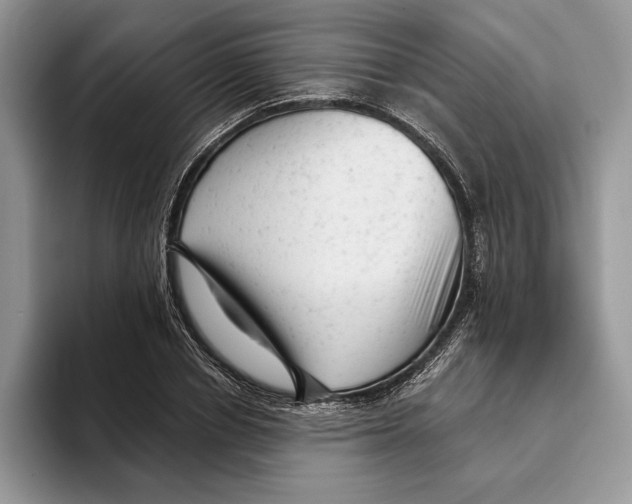 X0000093420834200711091416