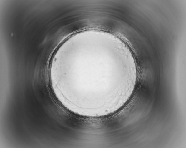 X0000093420836200711091416