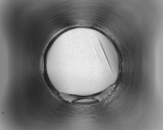 X0000093420838200711091416