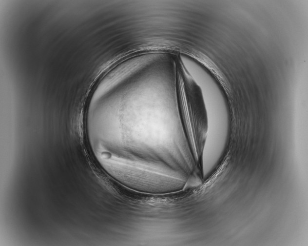 X0000093420842200711091416