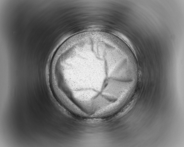 X0000093420859200711091416