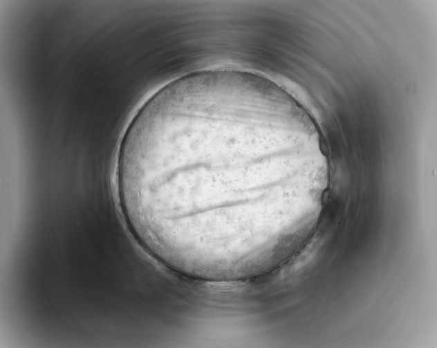 X0000093420863200711091416