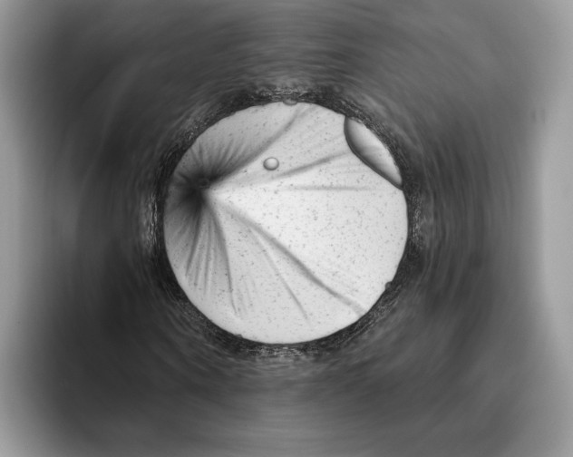 X0000093420866200711091415