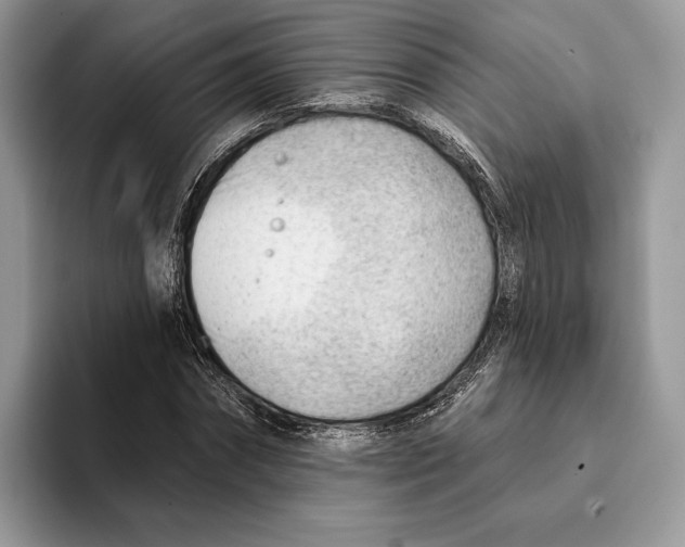 X0000093420874200711091415