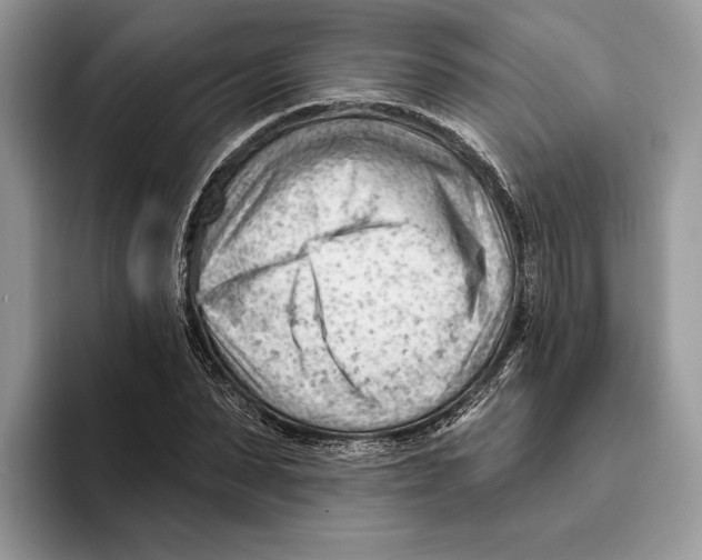 X0000093420879200711091415