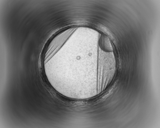 X0000093420883200711091415