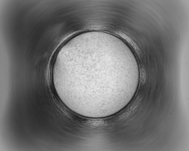 X0000093420886200711091415