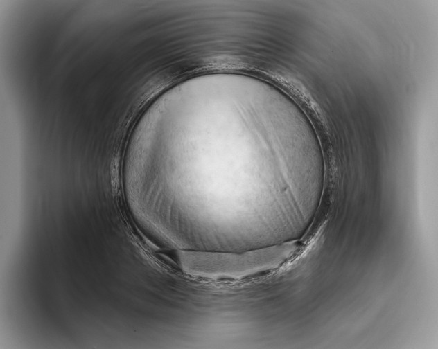 X0000093420889200711091415