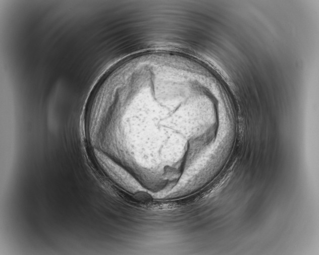 X0000093420891200711091415