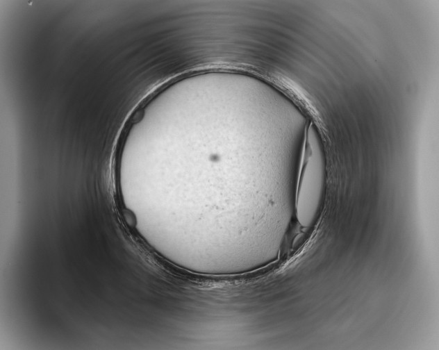 X0000093420892200711091415