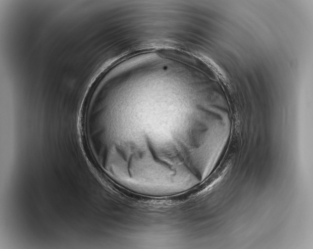 X0000093420893200711091415