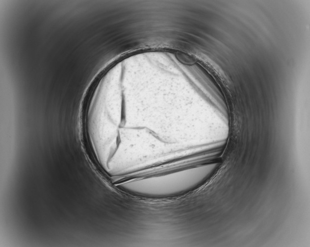 X0000093420894200711091415