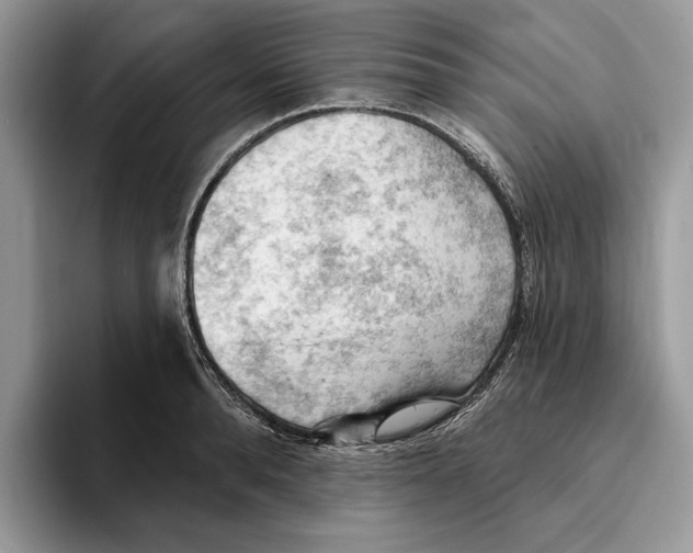 X0000093420896200711091415