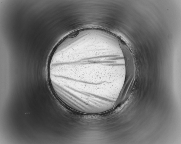 X0000093420902200711091415