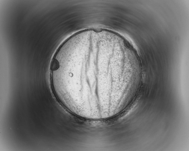 X0000093420903200711091415