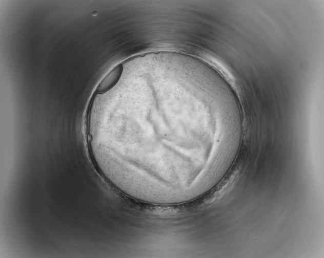 X0000093420907200711091415