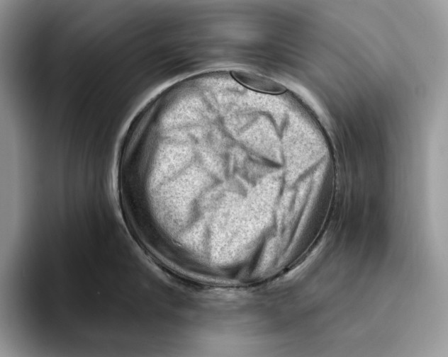 X0000093420910200711091415