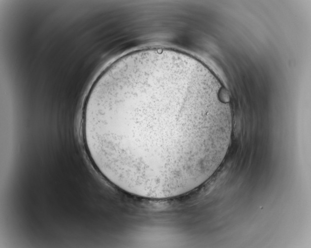 X0000093420911200711091415