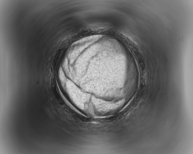 X0000093420917200711091414