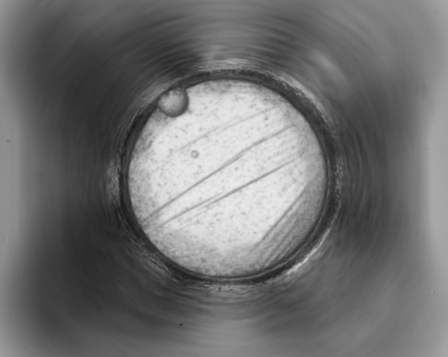 X0000093420921200711091414