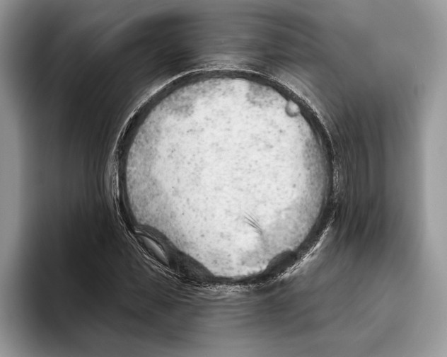 X0000093420925200711091414