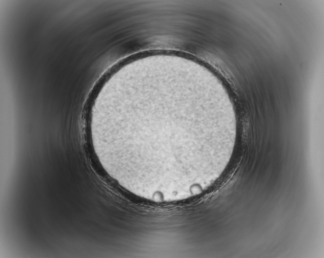 X0000093420926200711091414