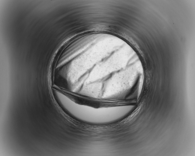 X0000093420939200711091415