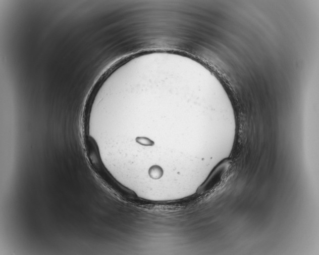 X0000093420942200711091415