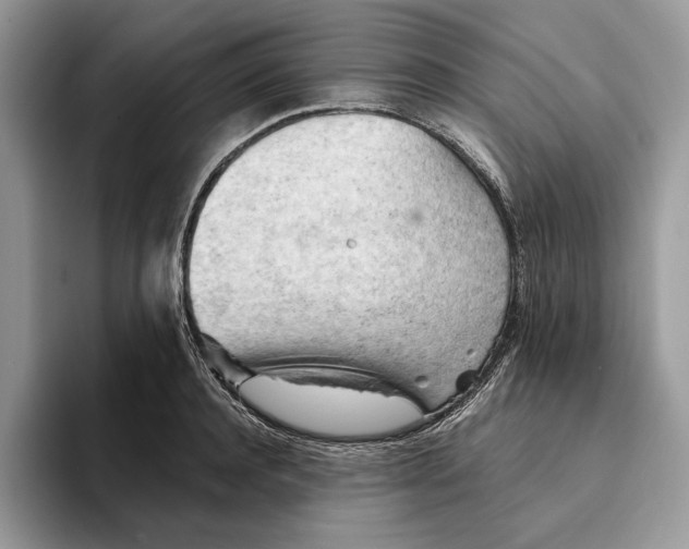 X0000093420944200711091415