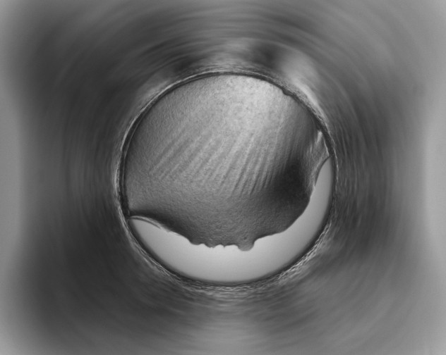 X0000093420946200711091415