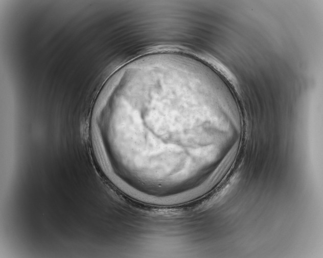 X0000093420953200711091415