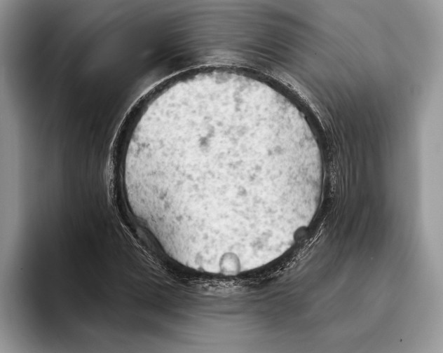 X0000093420975200711091414