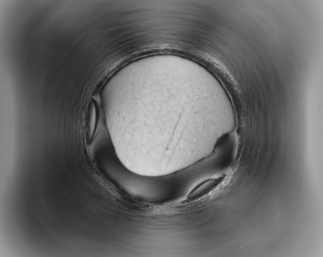 X0000093420977200711091414