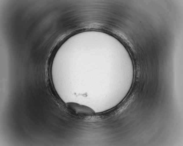 X0000093420978200711091414