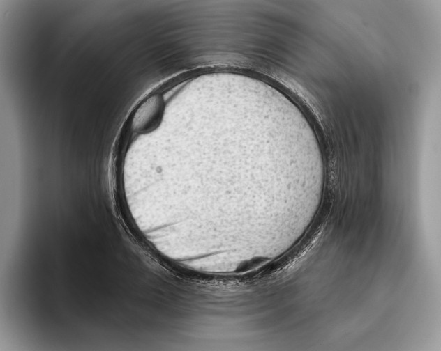 X0000093420983200711091414