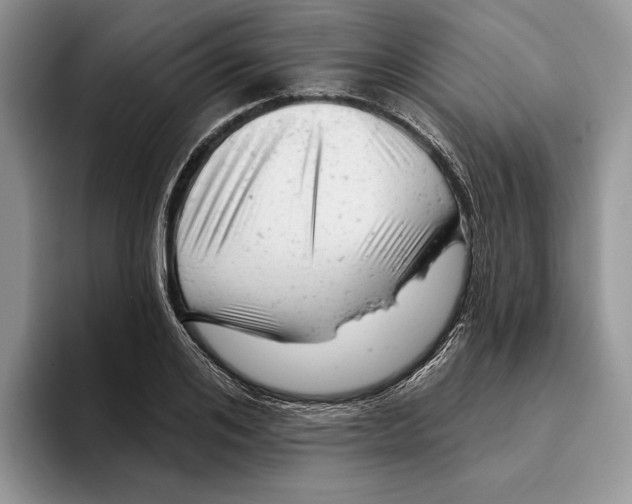 X0000093420984200711091414