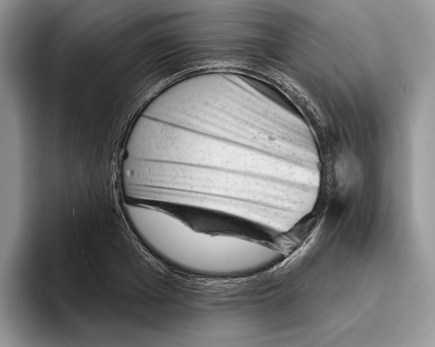 X0000093420985200711091414