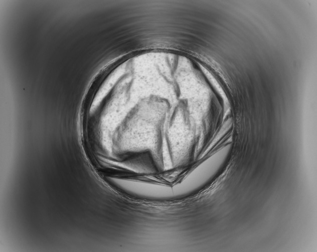 X0000093420987200711091414