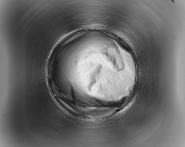 X0000093420989200711091414