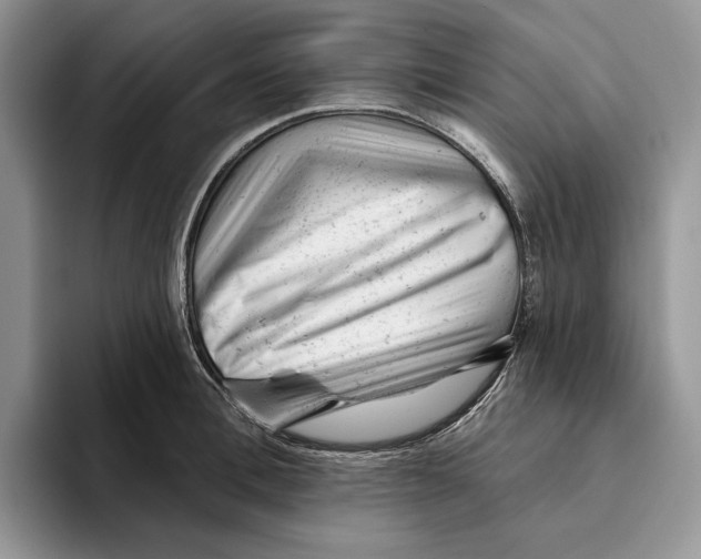 X0000093420996200711091414