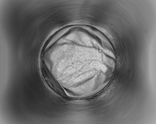 X0000093420998200711091414