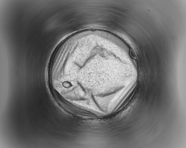 X0000093420999200711091414