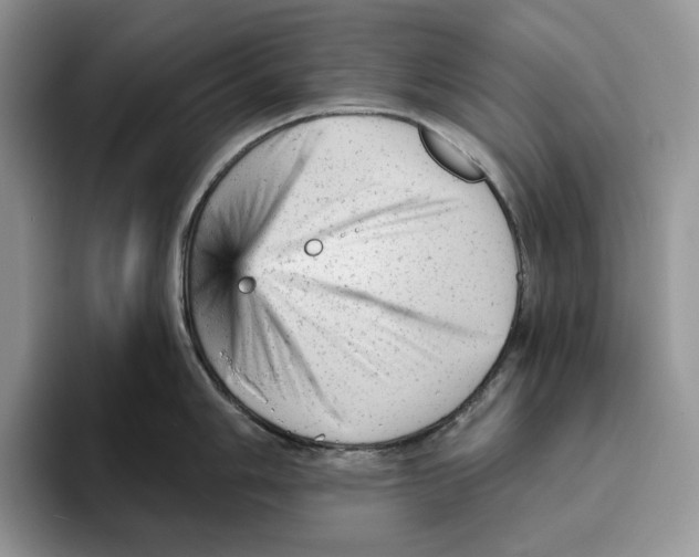 X0000093421006200711091414